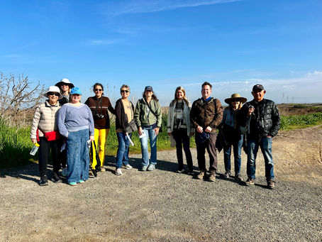 February 6, 2026: City of Menlo Park Birdwalk, Bedwell Bayfront Park