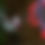 Thumbnail: 2025 Calendar: Hummingbirds of the San Francisco Bay Area