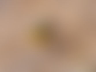 October 25, 2025: Bird Tour No. 23