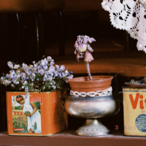 Blumentöpfe aus alten dosen