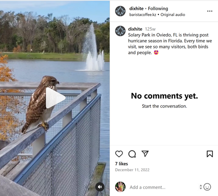 Stormwater Park Wildlife Reel