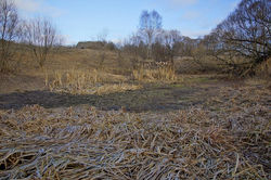 12359839_505376312966942_2431435795204363387_n