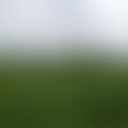 TuS-News im Februar 2021