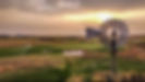 wildhorseNEW copy.jpeg