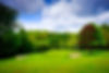 AdobeStock_232991187.jpeg