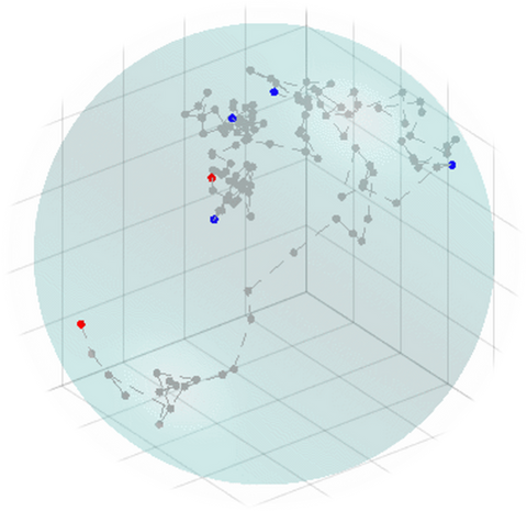 Morphology & Diffusion