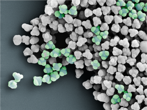 Non-Spherical Particles