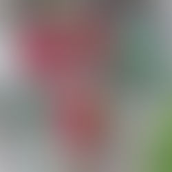 A-L & R 21.08.21 I Hochzeitsfeier im Landhotel Hallnberg