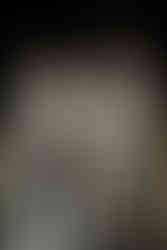 Organic Shapes I LGBTQIA+ Liebe ist Genderfrei, Hochzeit, heiraten, Lesbisch, Schwul, homosexuell, Hochzeit für jeden, Blumen, Floristik