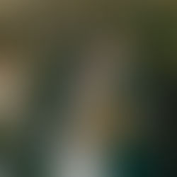 Kathrin & Alexander - 02.09.2023 I Sonnenblumen Hochzeit in Sterneck