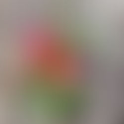 Chrissi & Max - 06.09.2023 I Hochzeit Exotisch anders