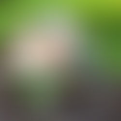 M & M -20.08.21 I Hochzeit in der Alten Tenne Eder am Holz, Moosinning