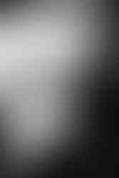 Organic Shapes I LGBTQIA+ Liebe ist Genderfrei, Hochzeit, heiraten, Lesbisch, Schwul, homosexuell, Hochzeit für jeden, Blumen, Floristik