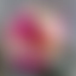 T & A - 29.06.24 I Gasthof Faltermeier, Eicherloh