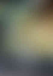 Hochzeitsauto, auto hochzeit, blumenschmuck hochzeit auto, blumen auto hochzeit, gesteck auto hochzeit, brautauto blumenschmuck,