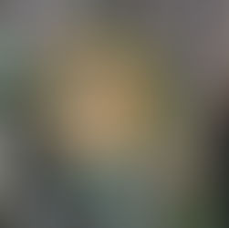 L & M 03.08.2024 I Standesamtliche Trauung