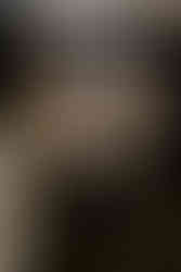 Organic Shapes I LGBTQIA+ Liebe ist Genderfrei, Hochzeit, heiraten, Lesbisch, Schwul, homosexuell, Hochzeit für jeden, Blumen, Floristik