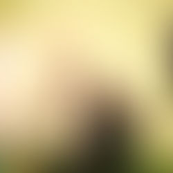 Jungfloristen Wettkampf