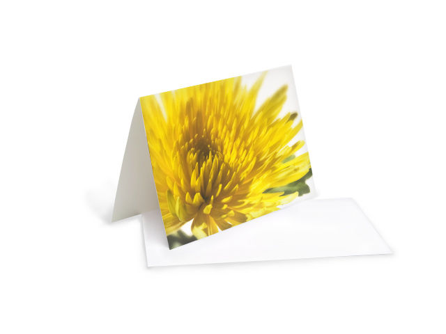 Karte Gelbe Chrysantheme