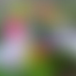 Hochzeit mit Alpenblick im Moarhof, Roßholzen, Samerberg