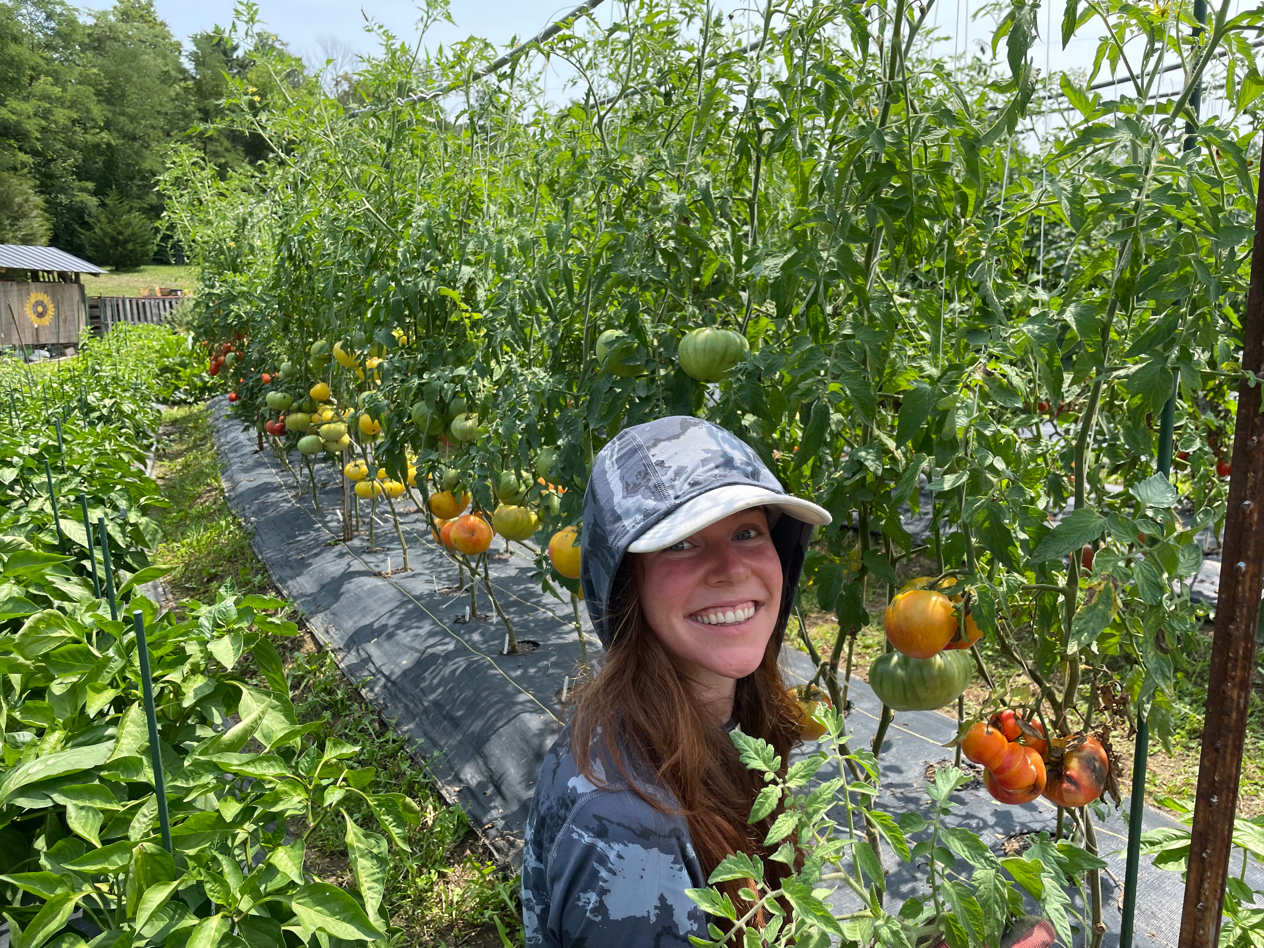 Fruitdale Farm - Photo 3