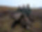 PAAA3098.JPG