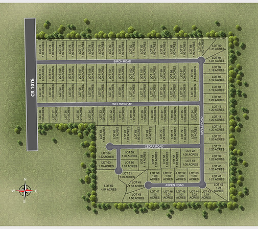 Briar Branch - 111 Lots Concept.jpg