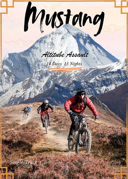 Mustang Altitude Assault MTB trip