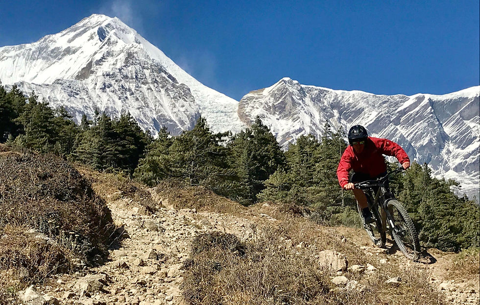 Wide angle view of a mountain biker descending a rocky volcanic trail