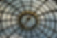DSC08452-1.JPG
