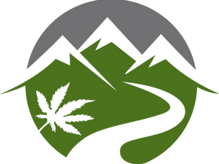 PotGuide Review: Kaviar Cone