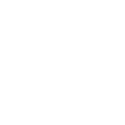 wired-outline-651-person-disabled-hover-pinch.gif