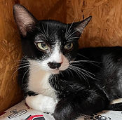 Imagem do WhatsApp de 2025-03-29 Ã (s) 20.32_edited.jpg