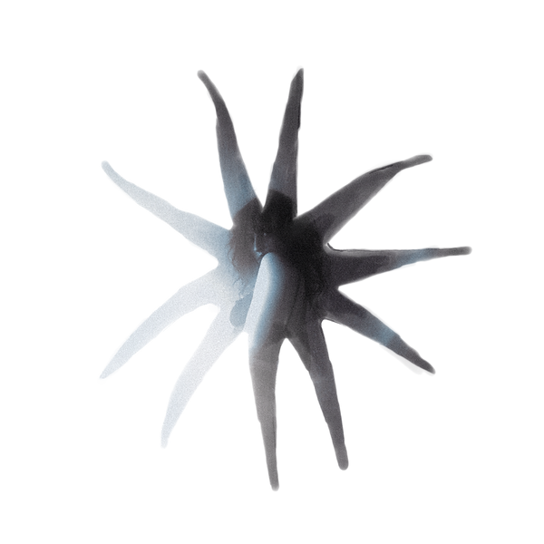 Untitled_Artwork 4 (8) (1).png