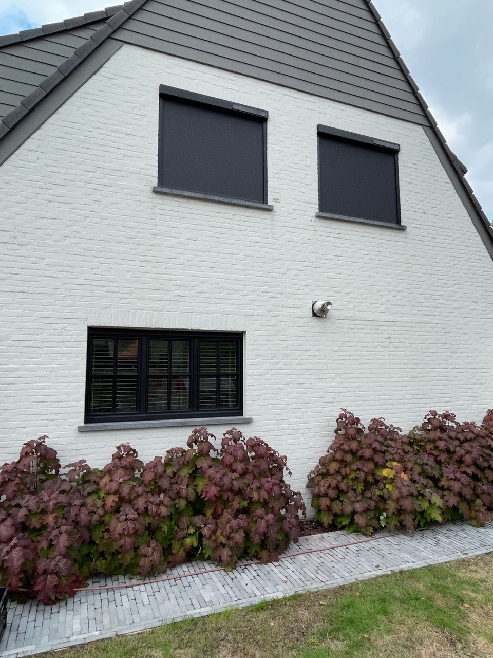 solar-screens-zonder-kapwerk-buggenhout-expert