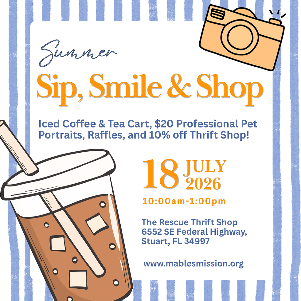 Summer Sip, Smile & Shop