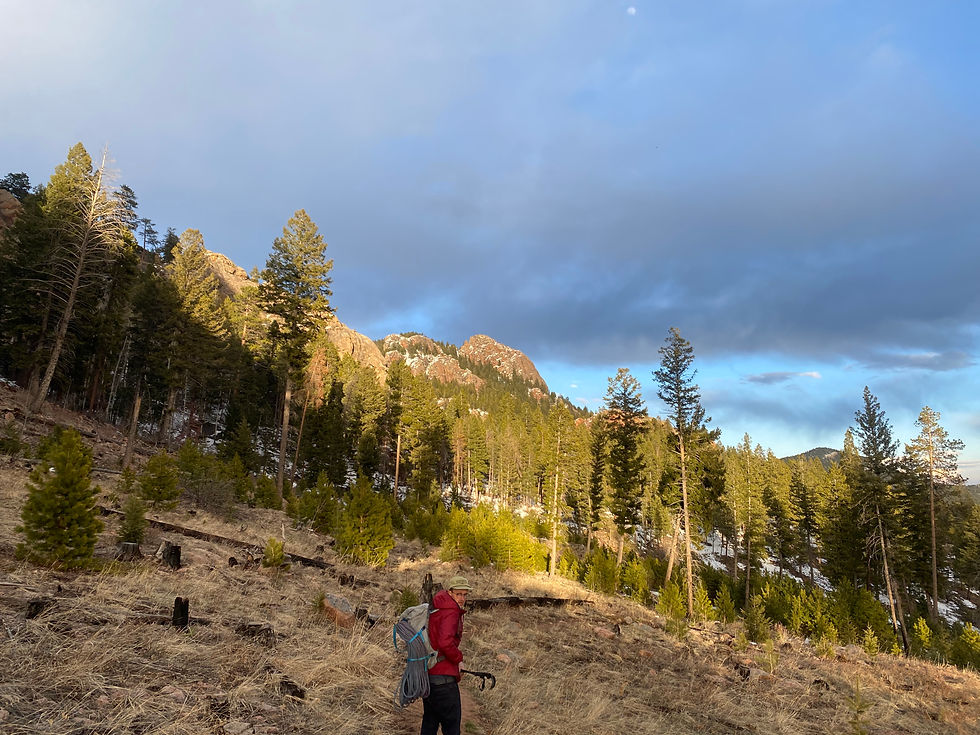 Hiking in staunton state park colorado hikers 