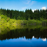 Le Lac de Vassivière