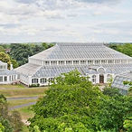 kew.jpg