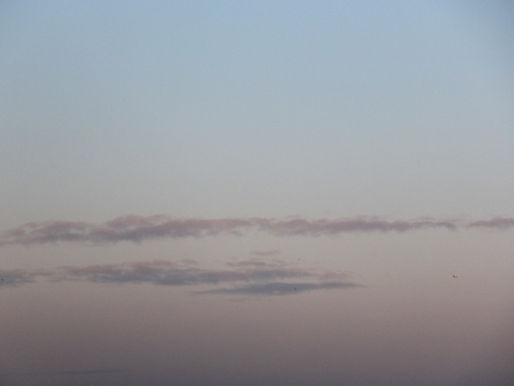 Minimalismo y mordedura, poesía de Laura Márquez