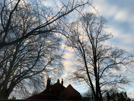 ‘Cam’ or ‘Cambs’: Speech communities in Cambridge, and strategies for apocope in British English