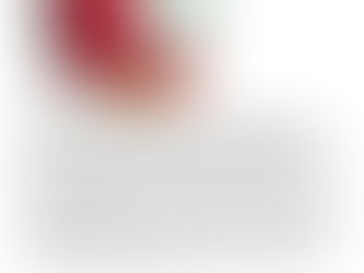 Rassegna stampa: Viene pubblicata la Bibbia dell'artista