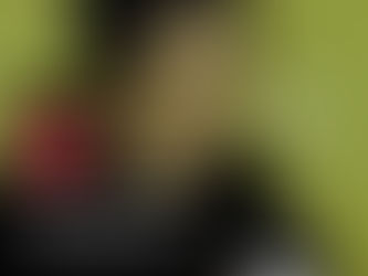 Commenti della stampa: "Continuava a dipingere".