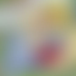 Frau bekommt Lachanfall bei Beerdigung der Mutter und plötzlich passiert etwas wunderbares