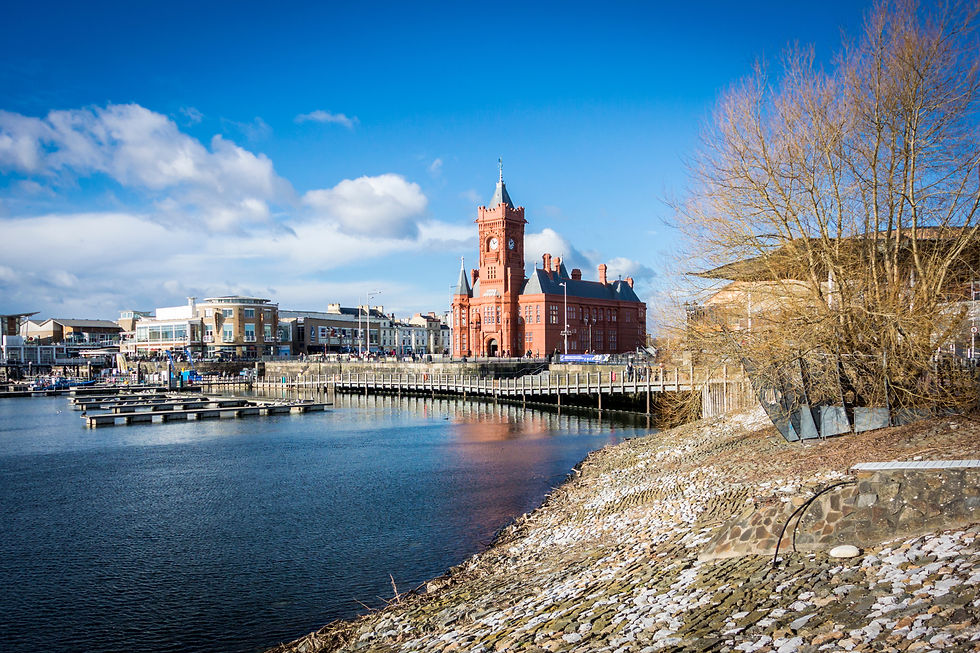 A historic Butetown area brimming with cultural diversity, waterfront views, and a blend of traditional and modern influences.