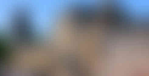 Cardiff Castle, a medieval fortress with Gothic architecture