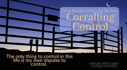 Corralling Control.png