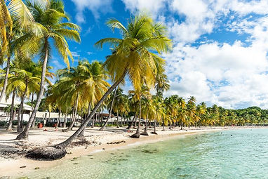 guadeloupe-plage-caravelle.jpg