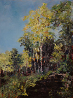 Minnehaha Trees
