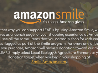 AMAZON SMILE!